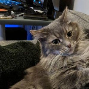 Meet your Posher, Fanni